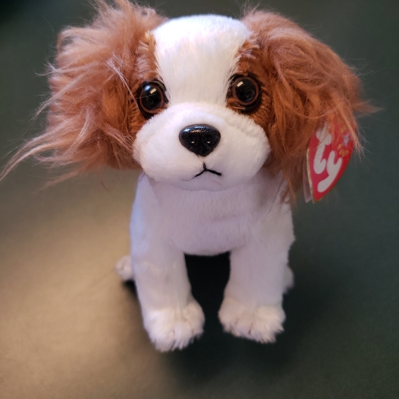 regal beanie baby